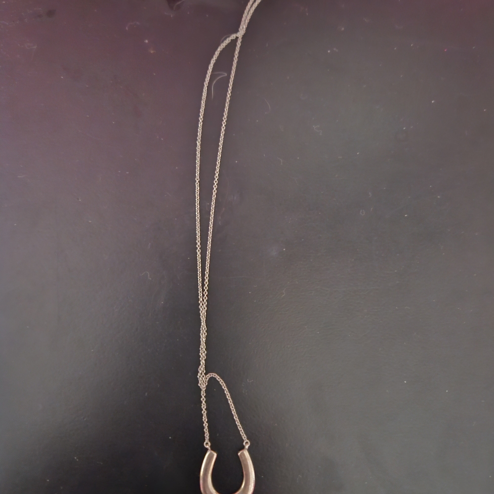 Authentic TIFFANY AND CO Horseshoe Necklace